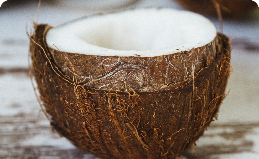 Benefits of Using Coconut & Sunflower Oil on Your Baby’s Scalp